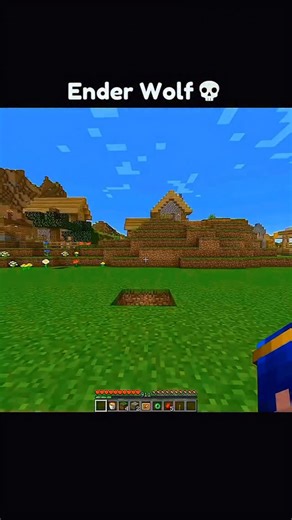 NetherGod on Instagram: "Spawning ender wolf 🐺 in Minecraft #minecraft #technoblade #minecraft100dayschallenge #techno #mine❤️ #shorts #mineforever #reels #love #minecraftmemes"