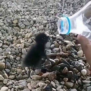 32K views · 610 reactions | Piccolo sei assetato❤️ | ⋆ SMOKING ⋆ | Facebook