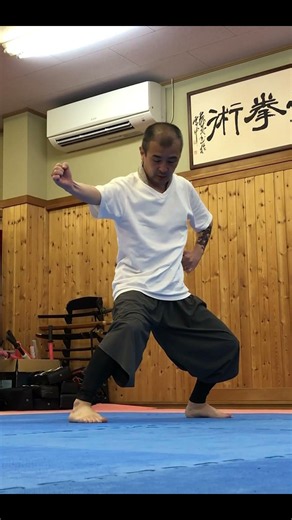 【当てさえすれば！？】八極拳冲捶