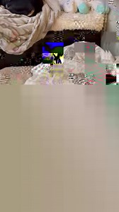 415K views · 10K reactions | Your daily dose of Benji. Healing well! | Dachshund Rescue of Los Angeles | Facebook