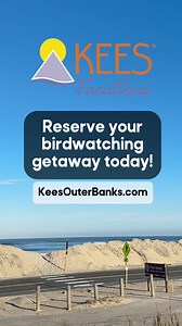 Pea Island National Wildlife Refuge should be at the top of your list of places to visit on the Outer Banks. The Refuge Visitor Center offers guided experiences more! Do you know what rare bird sightings there have been here? Find out on our blog, https://www.keesouterbanks.com/outer-banks-bird-watching 🪶 | Kees Vacations