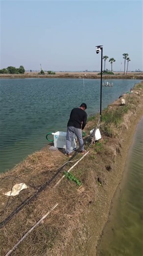 4HP MicroNano Bubble Generator installed at Bhimadolu#nanobubble #nanobubbletechnology #nanobubbles