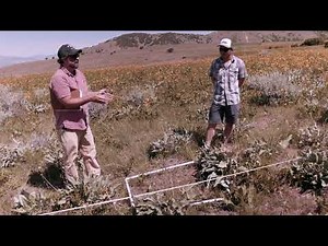 Range Vegetation Monitoring: Cover Class Method