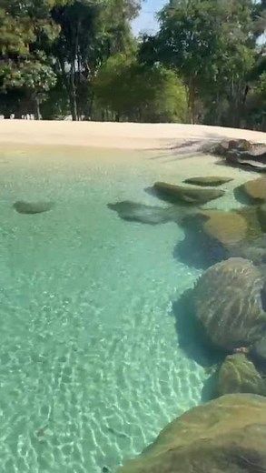 Piscina Bionatural - Uma Praia Perfeita Em Casa!
