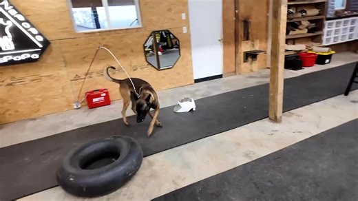 hunting for dopamine … | Bart Bellon