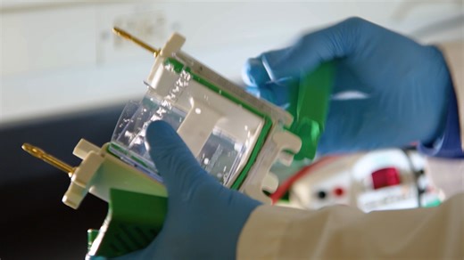 This video will demonstrate how to quickly and effectively evaluate your western blot transfer using Stain-Free imaging technology with an imaging system. | The Science Explorer | Facebook