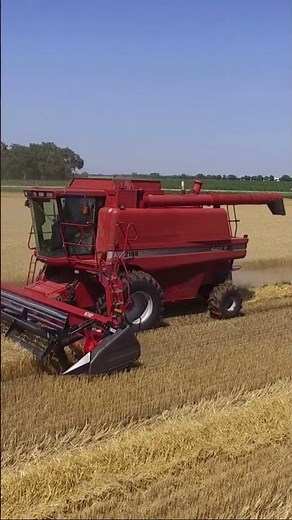 2188 Case IH Combine #case #farm#caseih