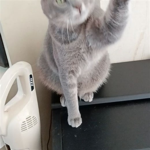 Mayuko Haruta on Reels | Facebook