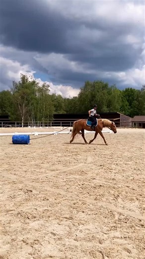 6.7K views · 774 reactions |  Cultiver la confiance et garder un...