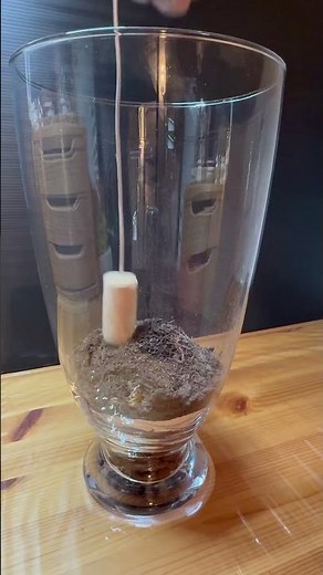 Cómo hacer un Terrario cerrado. Mini ecosistema