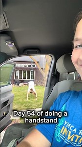 Day 54