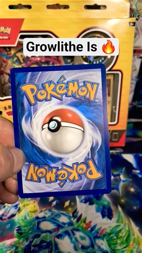 Growlithe Illustration Rare 🔥 #pokemoncards #pokemon #pokemontcg