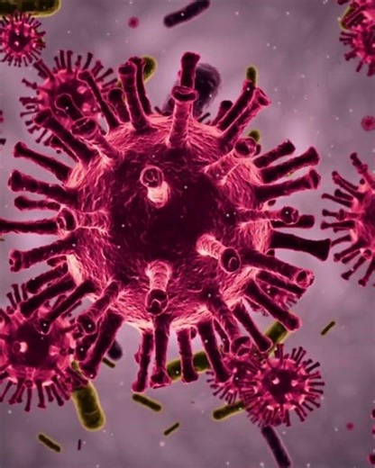 Meet the Silver Ion Generator – Smart, Safe, and Chemical-Free