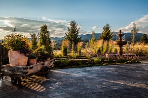 Trees for Montana Landscapes: 8 of Our Favorites for Around Your Home and Patio - Blanchford Landscape Group