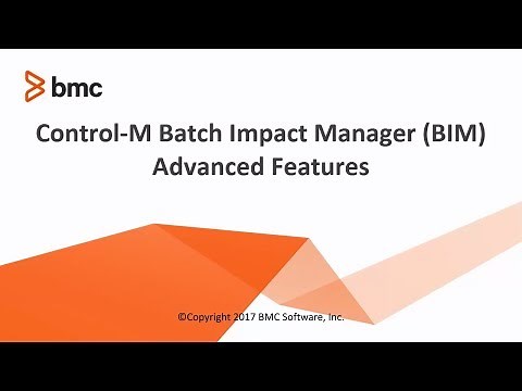 Control-M Batch Impact Manager (BIM) - Advanced Troubleshooting Features