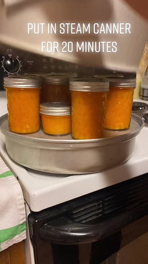 How to Preserve Fresh Apricots at Home