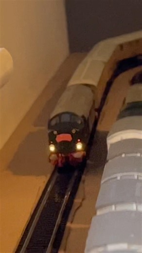 Class 40 preforms Birthday Boy railtour at Benchester (28/01/26)