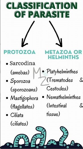 Classification of Parasite & Examples | Protozoa and Helminths #parasitology #microbiology #protozoa