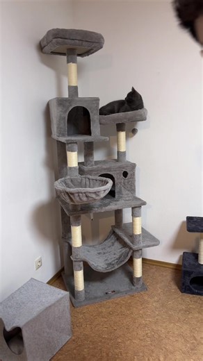 Wie lustig ist das 😂 #laserpointer #linienlicht #linelight #tiktokshop