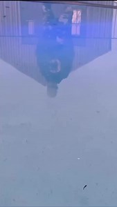 1.8K views · 159 reactions | Run It Out Now On All Streaming Platforms!Lets Goooooo! | Lord Script | Facebook