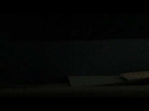 Go Diego Go: All The Beavers Are Building A Dam