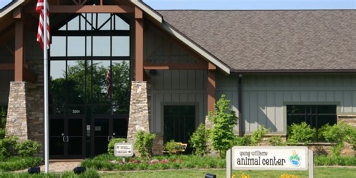 27 dogs die of distemper at Young-Williams, facilities return to normal operations, shelter says