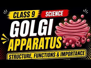 Golgi Apparatus Explained | Structure, Functions & Importance | Class 9 Science (CBSE 2026-27)