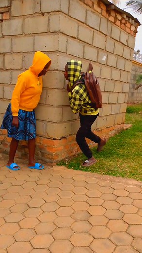 Hilarious Duck Funny Video Compilation