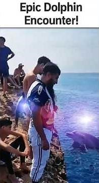 DOLPHIN CRASHED MY CLIFF JUMP!🐬 😱 #Viral2025