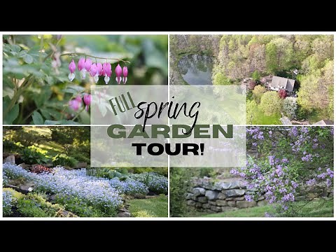 Spring Garden Tour 2022 🌿 ~ Full Garden Tour ~ Flower Gardens ~ Spring Flowerbeds