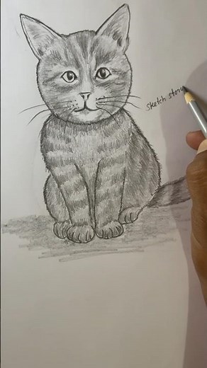 Cute Cat Pencil Drawing 🐱 | Realistic Sketch Step by Step ✏️ #Shorts #viral #pencilsketch #pencil