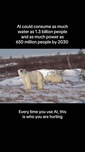 According to a new UN report, water used by AI is expected to equal the needs of 1.3 billion people by 2030. Its energy consumption could equal 3% of the world’s electricity, resulting in carbon emissions equal to the UK. Large data centers can consume up to 5 million gallons per day in order to keep servers cool and use as much electricity as 100,000 households. Sources: Time Magazine, International Energy Agency #sustainability #climatechange