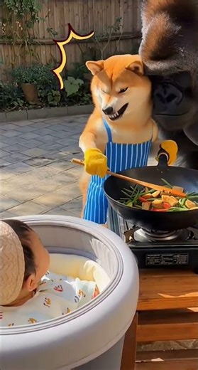 👉 WAIT… WHY IS THE SHIBA ANGRY AT THE BABY?! 😱