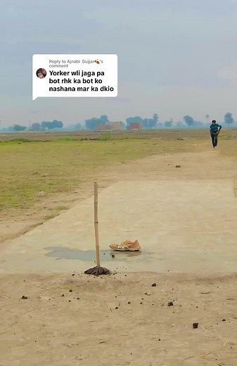 Replying to @Ajnabi Gujjar🍂 ya lo bhai bot ko mar dya ha #foryou #viral #cricketlover