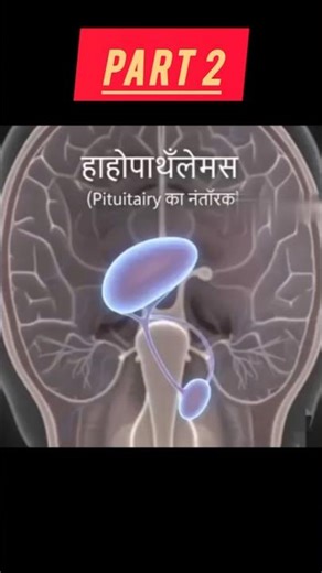 endocrine system part 2 #human body important glands and their functions#anatomy #shorts