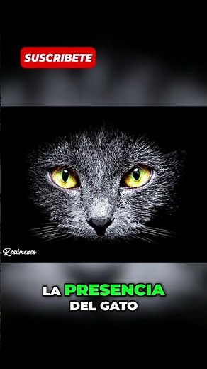 The Hidden Secret in the Basement | Book: The Black Cat