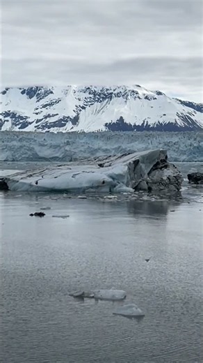 Alaska Cruise: POV – Seeing a MASSIVE Iceberg from a Hubbard Glacier Excursion Boat