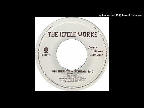 The Icicle Works - Birds Fly (Whisper To A Scream) (1984)