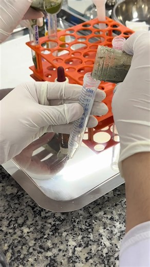 Một buổi học thực hành ký sinh trùng của các bạn Xét nghiệm y học. #medicalstudent #parasitology #LIVEIncentiveProgram #LIVEbringFANS #PaidPartnership