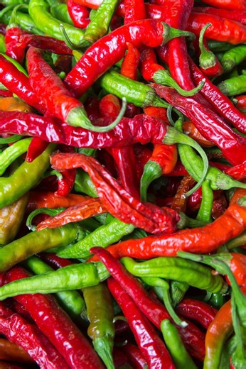 Capsaicin – Sensation and Perception