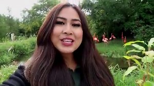 5.7K views · 239 reactions | Bring the Zoo into your home, business, or community group and learn about the wonderful wildlife while having a little fun too! The Zoo offers multiple ways of connecting with the animals and learning all about them from the comfort and safety of your device. Just choose an option and we will be excited to welcome you to the Toronto Zoo! Book here: https://www.torontozoo.com/zootoyou. | The Toronto Zoo | Facebook