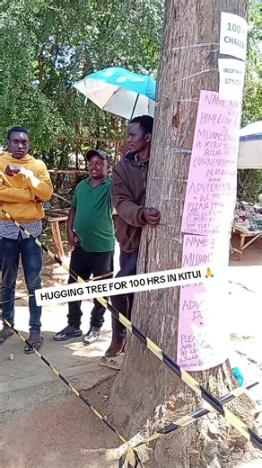 Tree Hugging Challenge: 100 Hours in Kitui