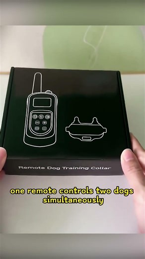 Smart Remote Dog Training