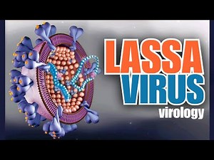 Lassa Virus: Transmission, Symptoms, Diagnosis & Treatment | From Rodents to Humans | Virology