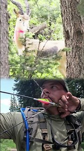 Perfect shot on a Black Buck