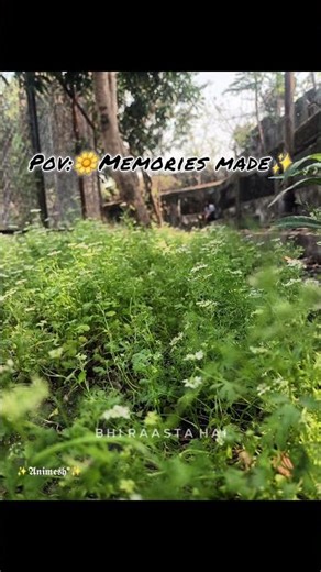 || Sitaare song status || সিটারে গান স্টেটাস || #shorts || #viral || #aesthetic || #hindisong ||