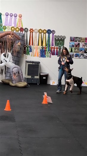 35 reactions · 5 comments | What an awesome day celebrating our Rally...