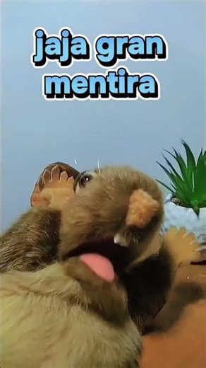 Grandísima mentira 😸😸🤣#reationship