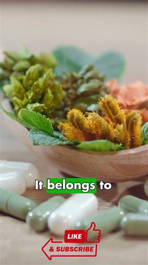 Top Benefits of Holy Basil You Never Knew! #herbalmedicine #homesteading #traditionalmedicine