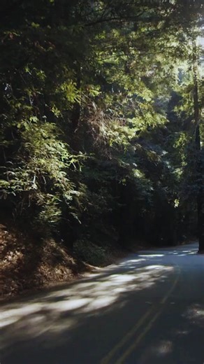 Big Sur in February? Absolutely. Stay at Big Sur Lodge and experience the redwoods at their most peaceful, the coast at its most dramatic, and nature at its most alive. Here's how to make the most of your winter escape. | Big Sur Lodge